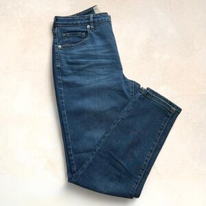 Women’s Everlane Curvy Authentic Stretch High Rise Skinny Jean 30”